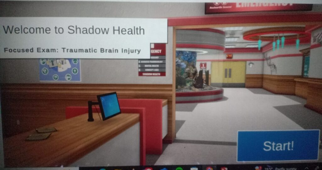 Damien Brooks traumatic brain injury shadow health assignment help